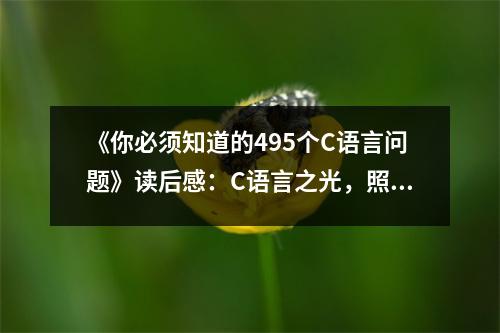 《你必須知道的495個(gè)C語(yǔ)言問(wèn)題》讀后感：C語(yǔ)言之光，照亮編程之路 (800字)