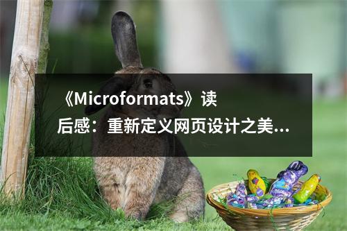 《Microformats》讀后感：重新定義網(wǎng)頁(yè)設(shè)計(jì)之美 (700字)