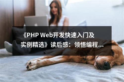 《PHP Web開(kāi)發(fā)快速入門(mén)及實(shí)例精選》讀后感：領(lǐng)悟編程之美，開(kāi)啟編程人生 (700字)