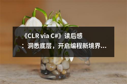 《CLR via C#》讀后感：洞悉底層，開(kāi)啟編程新境界 (700字)