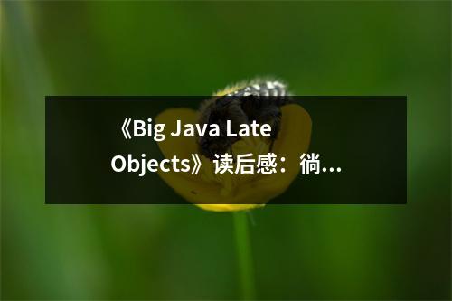 《Big Java Late Objects》讀后感：徜徉編程之海，探尋知識之源 (650字)