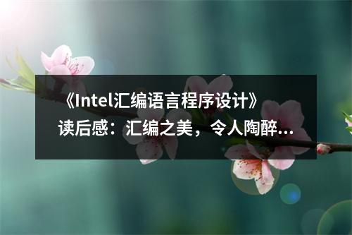 《Intel匯編語言程序設計》讀后感：匯編之美，令人陶醉 (750字)