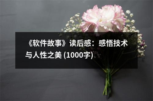 《軟件故事》讀后感：感悟技術與人性之美 (1000字)