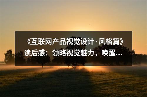 《互聯(lián)網(wǎng)產(chǎn)品視覺設(shè)計(jì)·風(fēng)格篇》讀后感：領(lǐng)略視覺魅力，喚醒設(shè)計(jì)靈感 (850字)