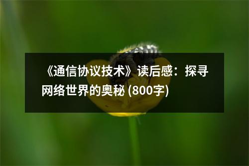 《通信協(xié)議技術》讀后感：探尋網(wǎng)絡世界的奧秘 (800字)