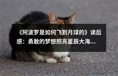 《阿波羅是如何飛到月球的》讀后感：勇敢的夢(mèng)想照亮星辰大海 (800字)