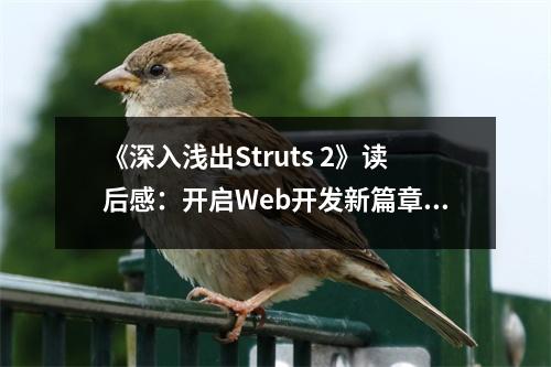 《深入淺出Struts 2》讀后感：開啟Web開發(fā)新篇章 (900字)