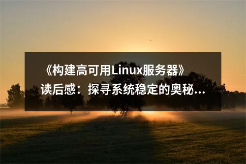 《構(gòu)建高可用Linux服務(wù)器》讀后感：探尋系統(tǒng)穩(wěn)定的奧秘 (750字)
