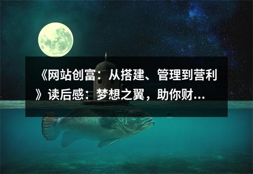 《網(wǎng)站創(chuàng)富：從搭建、管理到營(yíng)利》讀后感：夢(mèng)想之翼，助你財(cái)富騰飛 (800字)