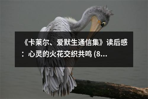 《卡萊爾、愛默生通信集》讀后感：心靈的火花交織共鳴 (850字)