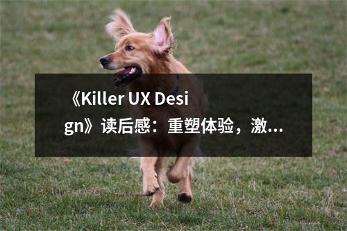 《Killer UX Design》讀后感：重塑體驗(yàn)，激發(fā)潛能 (900字)