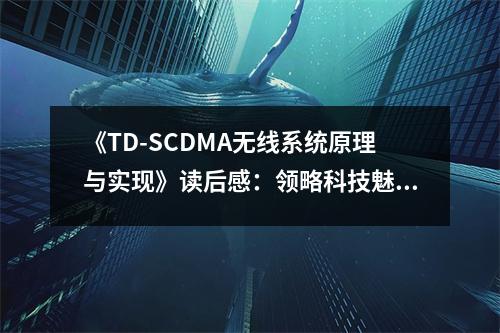 《TD-SCDMA無線系統(tǒng)原理與實(shí)現(xiàn)》讀后感：領(lǐng)略科技魅力，感悟無線未來 (750字)