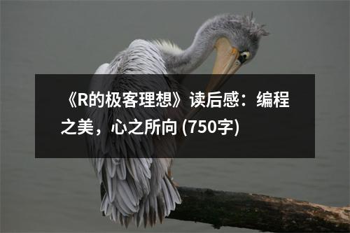 《R的極客理想》讀后感：編程之美，心之所向 (750字)