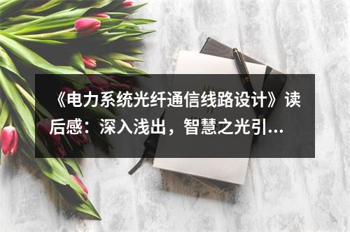 《電力系統(tǒng)光纖通信線路設(shè)計(jì)》讀后感：深入淺出，智慧之光引領(lǐng)未來 (900字)