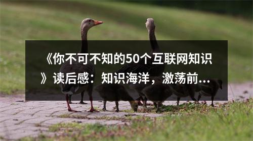 《你不可不知的50個互聯(lián)網(wǎng)知識》讀后感：知識海洋，激蕩前行 (600字)
