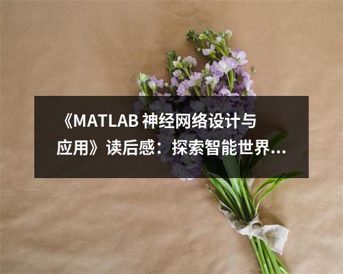 《MATLAB 神經(jīng)網(wǎng)絡(luò)設(shè)計與應(yīng)用》讀后感：探索智能世界的奇妙旅程 (800字)