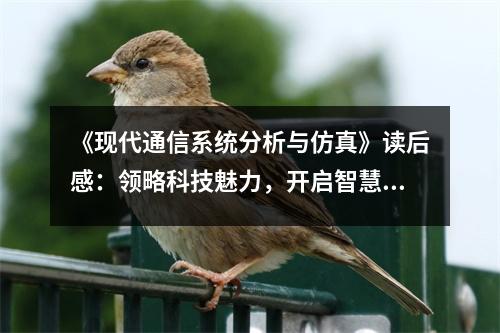 《現(xiàn)代通信系統(tǒng)分析與仿真》讀后感：領(lǐng)略科技魅力，開啟智慧之門 (700字)