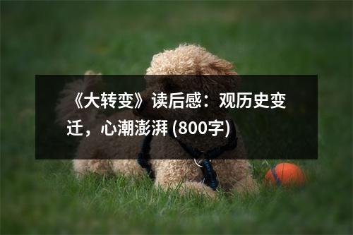 《大轉(zhuǎn)變》讀后感：觀歷史變遷，心潮澎湃 (800字)