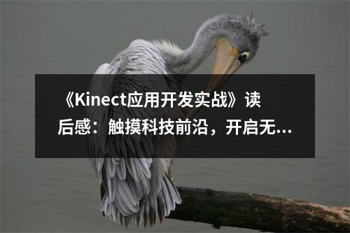 《Kinect應(yīng)用開發(fā)實戰(zhàn)》讀后感：觸摸科技前沿，開啟無限可能 (800字)