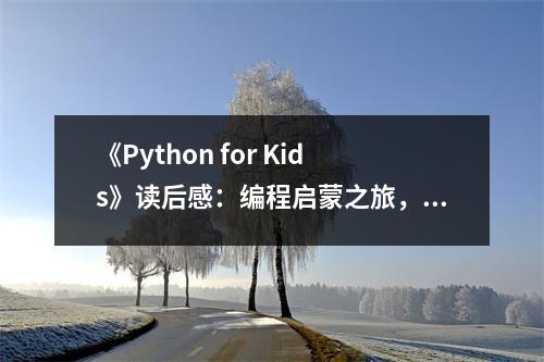 《Python for Kids》讀后感：編程啟蒙之旅，收獲滿滿 (750字)