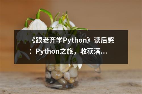 《跟老齊學Python》讀后感：Python之旅，收獲滿滿 (650字)