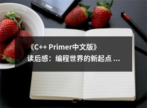 《C++ Primer中文版》讀后感：編程世界的新起點(diǎn) (700字)