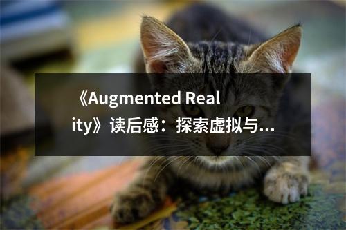 《Augmented Reality》讀后感：探索虛擬與現(xiàn)實(shí)的奇妙交融 (750字)
