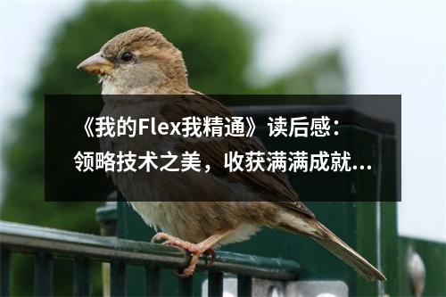 《我的Flex我精通》讀后感：領(lǐng)略技術(shù)之美，收獲滿滿成就感 (700字)