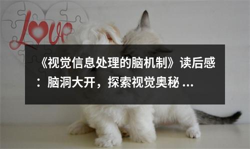 《視覺信息處理的腦機制》讀后感：腦洞大開，探索視覺奧秘 (950字)