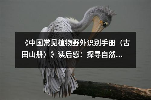 《中國(guó)常見(jiàn)植物野外識(shí)別手冊(cè)（古田山冊(cè)）》讀后感：探尋自然的奇妙之旅 (750字)