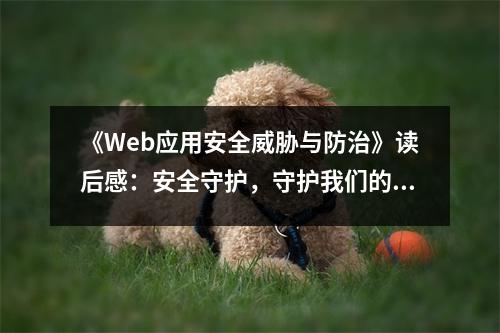 《Web應(yīng)用安全威脅與防治》讀后感：安全守護(hù)，守護(hù)我們的網(wǎng)絡(luò)家園 (900字)