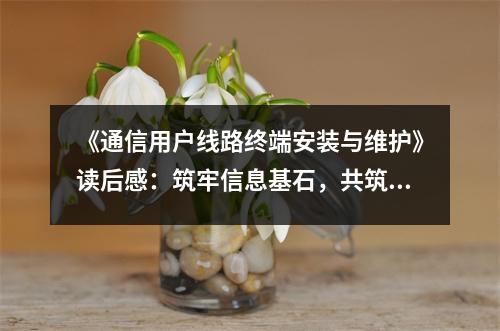 《通信用戶線路終端安裝與維護(hù)》讀后感：筑牢信息基石，共筑網(wǎng)絡(luò)家園 (1000字)