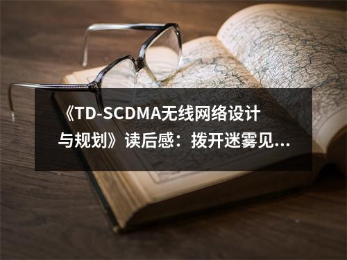 《TD-SCDMA無線網(wǎng)絡(luò)設(shè)計與規(guī)劃》讀后感：撥開迷霧見真章 (900字)