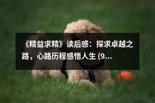 《精益求精》讀后感：探求卓越之路，心路歷程感悟人生 (950字)