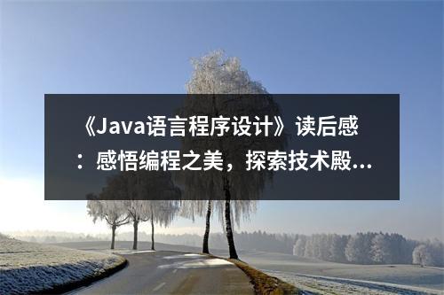 《Java語言程序設(shè)計》讀后感：感悟編程之美，探索技術(shù)殿堂 (800字)