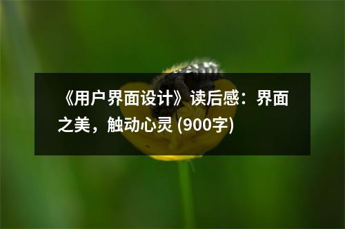 《用戶界面設(shè)計(jì)》讀后感：界面之美，觸動(dòng)心靈 (900字)