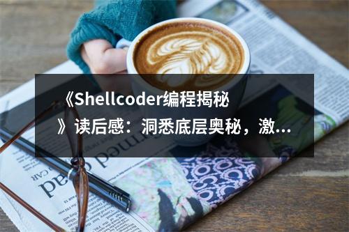 《Shellcoder編程揭秘》讀后感：洞悉底層奧秘，激發(fā)編程熱情 (650字)