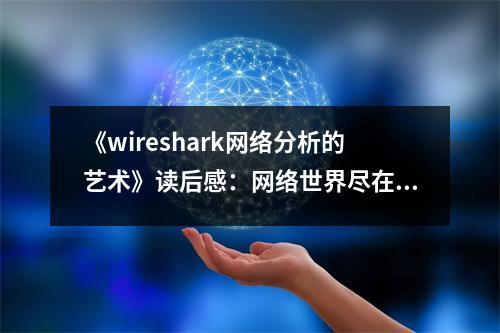 《wireshark網(wǎng)絡分析的藝術(shù)》讀后感：網(wǎng)絡世界盡在掌握 (850字)