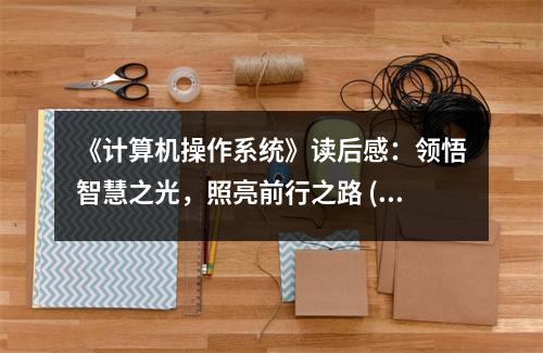 《計算機操作系統(tǒng)》讀后感：領(lǐng)悟智慧之光，照亮前行之路 (950字)