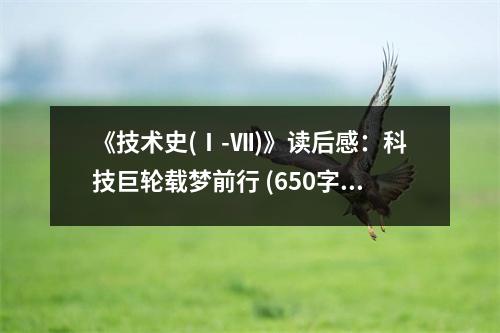 《技術(shù)史(Ⅰ-Ⅶ)》讀后感：科技巨輪載夢前行 (650字)