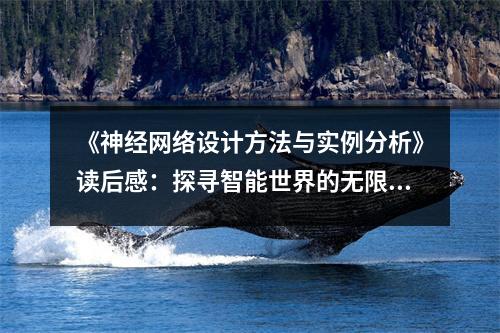 《神經(jīng)網(wǎng)絡(luò)設(shè)計方法與實例分析》讀后感：探尋智能世界的無限可能 (850字)