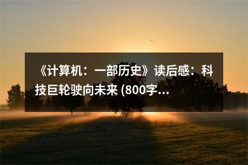《計(jì)算機(jī)：一部歷史》讀后感：科技巨輪駛向未來(lái) (800字)