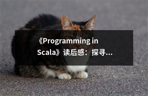 《Programming in Scala》讀后感：探尋編程之美，心悅誠(chéng)服 (650字)