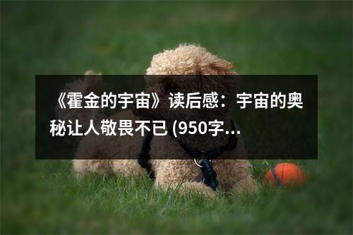 《霍金的宇宙》讀后感：宇宙的奧秘讓人敬畏不已 (950字)