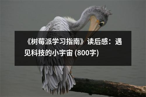 《樹莓派學習指南》讀后感：遇見科技的小宇宙 (800字)
