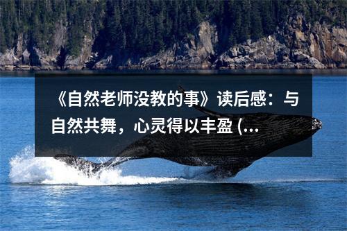 《自然老師沒教的事》讀后感：與自然共舞，心靈得以豐盈 (700字)