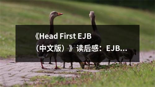 《Head First EJB（中文版）》讀后感：EJB世界的大門就此打開 (800字)