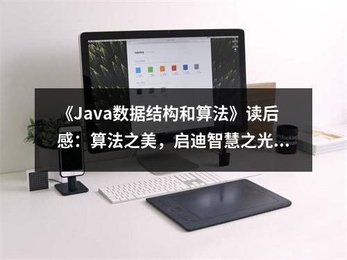 《Java數(shù)據(jù)結構和算法》讀后感：算法之美，啟迪智慧之光 (950字)