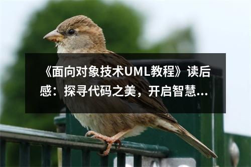 《面向對象技術UML教程》讀后感：探尋代碼之美，開啟智慧之門 (750字)