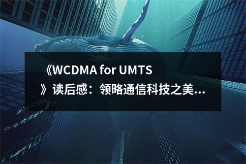 《WCDMA for UMTS》讀后感：領(lǐng)略通信科技之美 (700字)